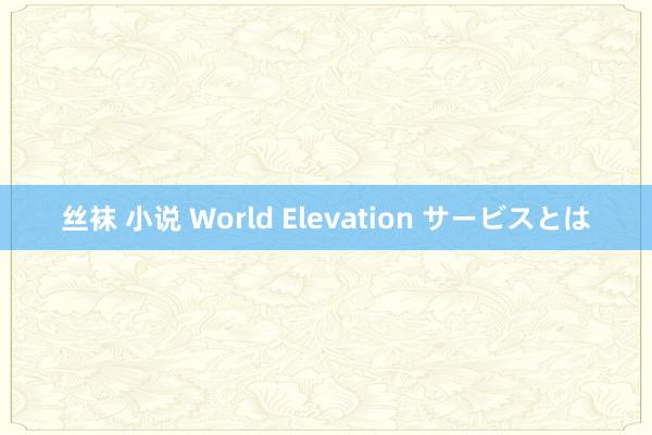 丝袜 小说 World Elevation サービスとは